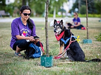 Adoptuj Warszawiaka  Wydarzenie promujące adopcję zwierząt. Organizator: Schronisko dla Bezdomnych Zwierząt "Na Paluchu". 18 sierpnia 2019, Park Raszyński w Raszynie. : park raszyński, adoptuj warszawiaka, na paluchu, schronisko dla zwierząt, centrum warszawy, raszyn